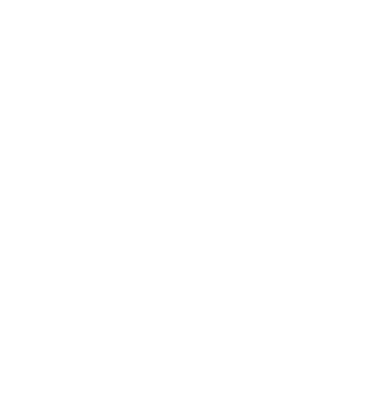 Twin Cities Homecare Services LLC
